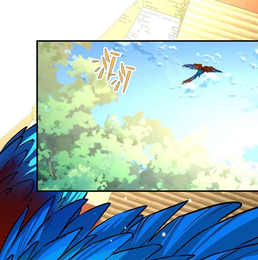 寻找前世之旅2季第162话 遇袭1