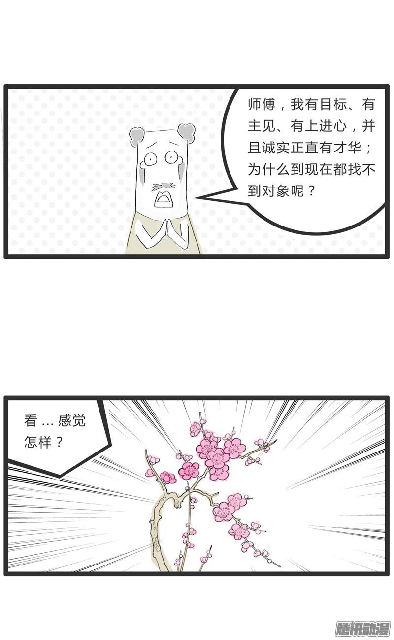 火锅家族看这朵盛开的梅花