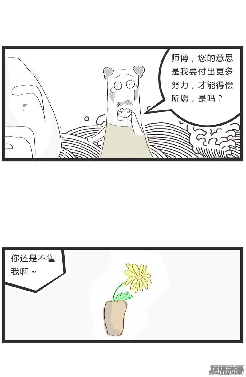 火锅家族看这朵盛开的梅花