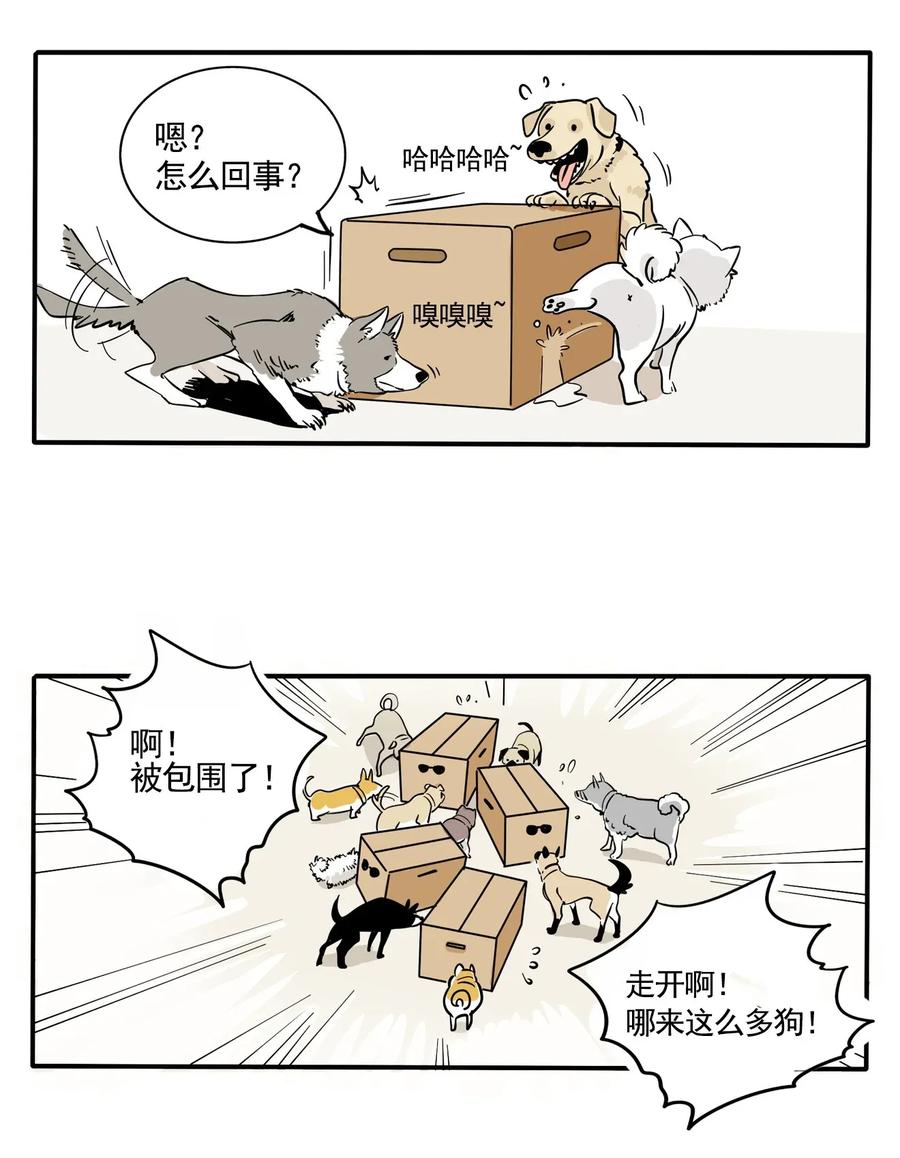 快把我哥带走221