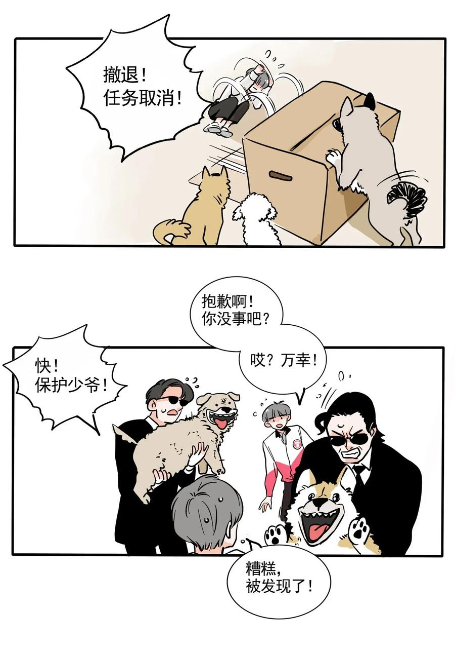 快把我哥带走221