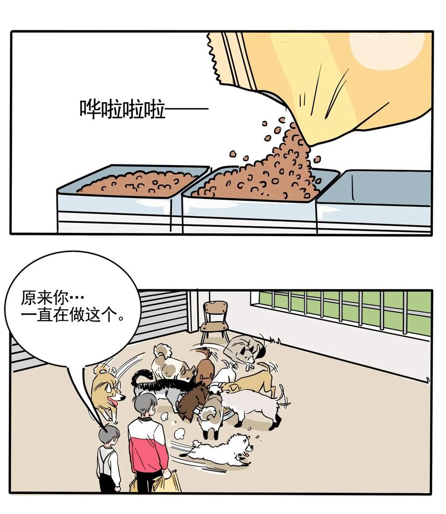 快把我哥带走221