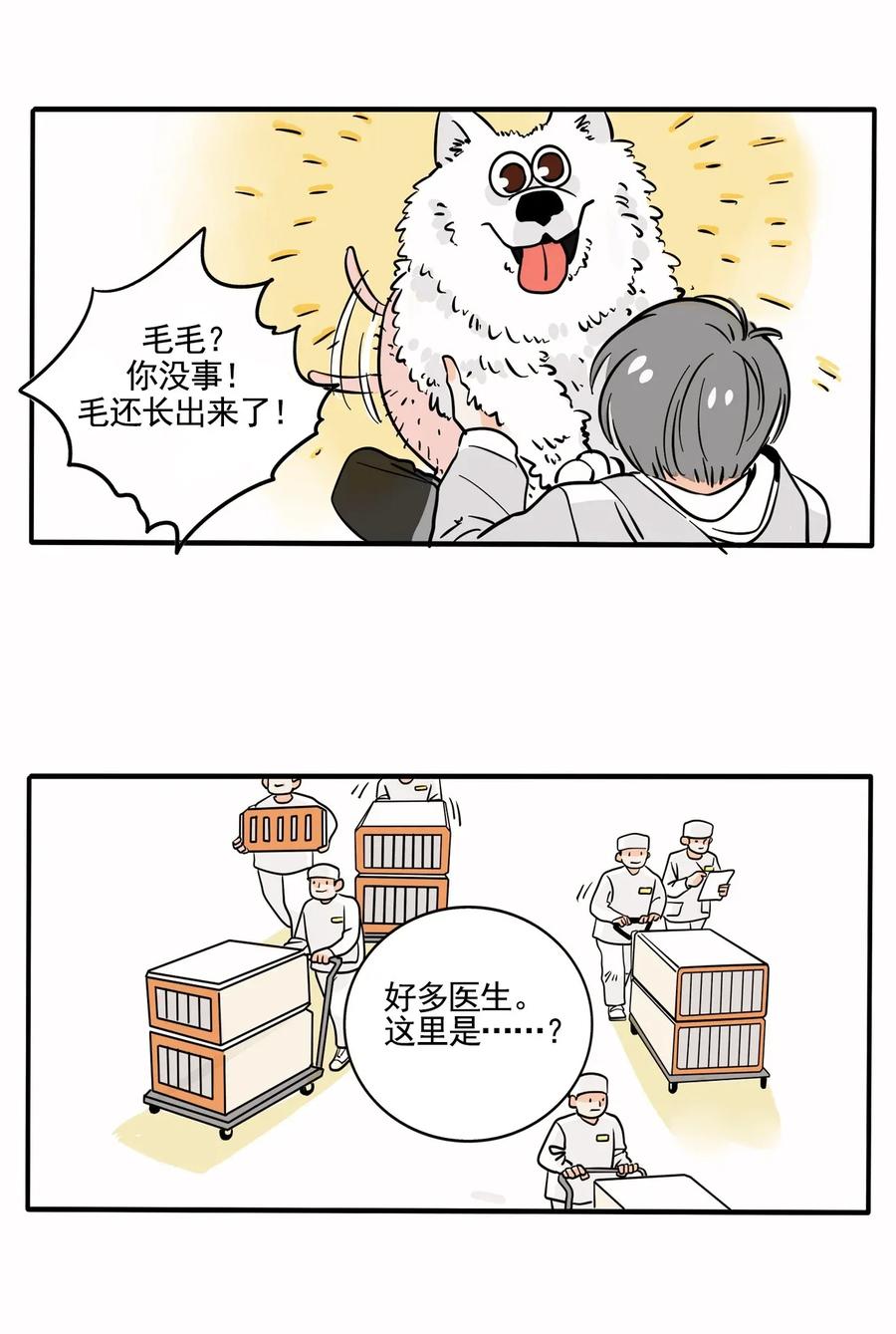 快把我哥带走224