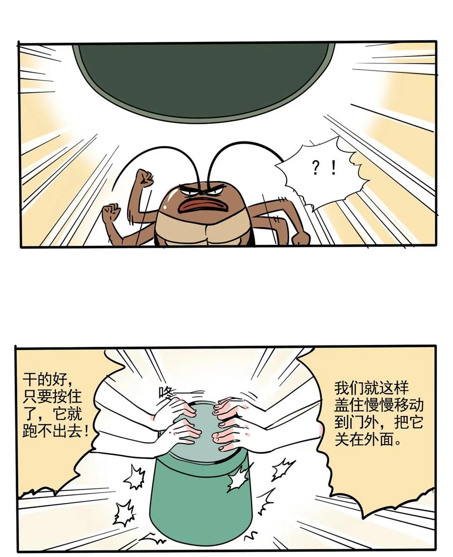 快把我哥带走247 247