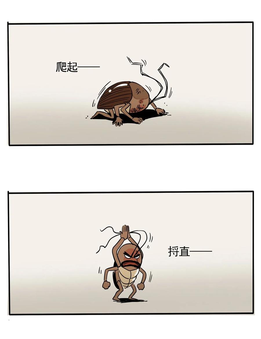 快把我哥带走247 247