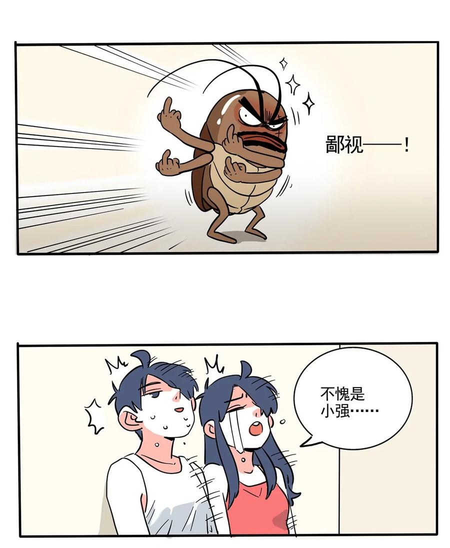 快把我哥带走247 247