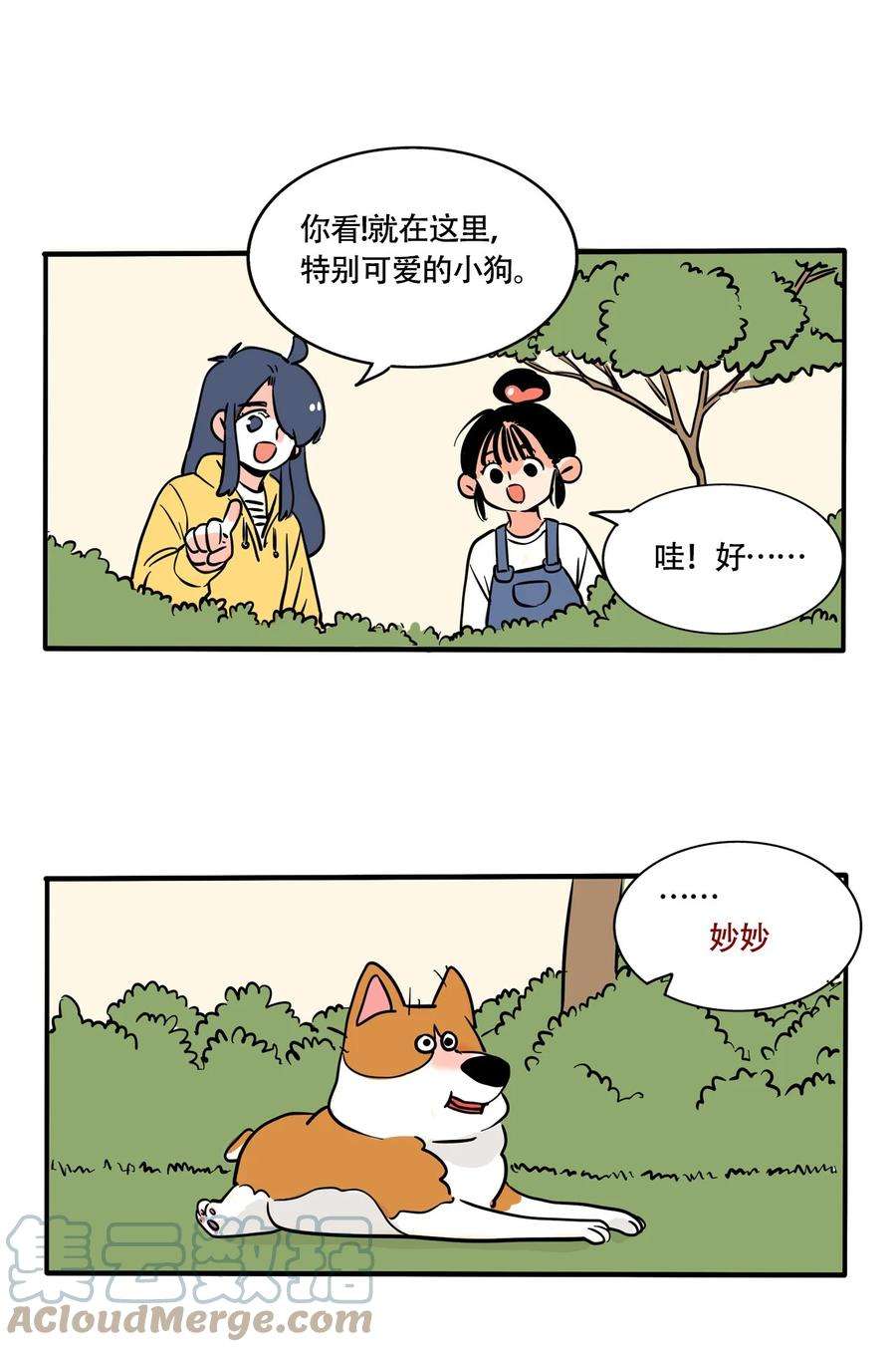 快把我哥带走312 312