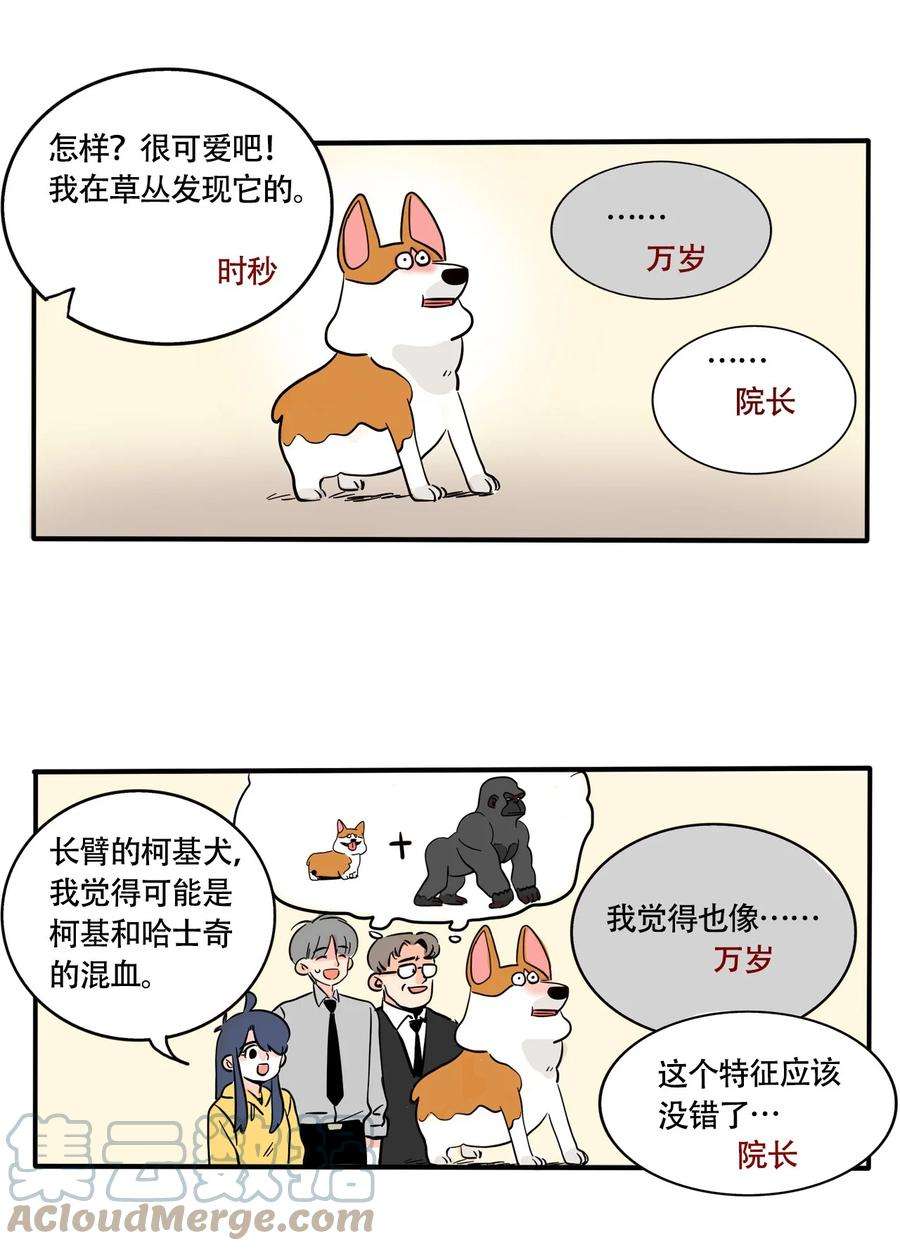 快把我哥带走313 313