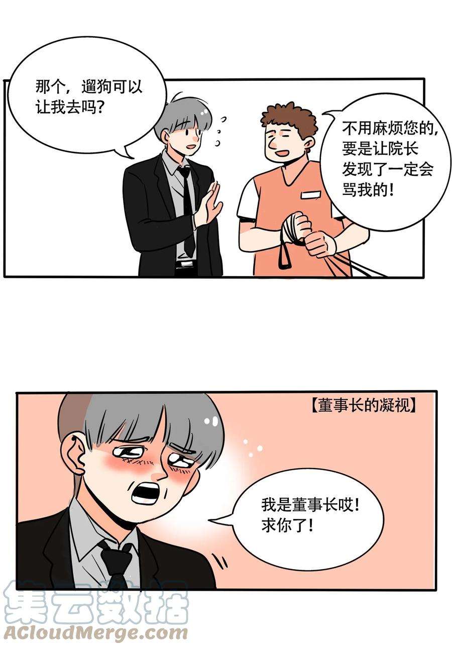 快把我哥带走313 313