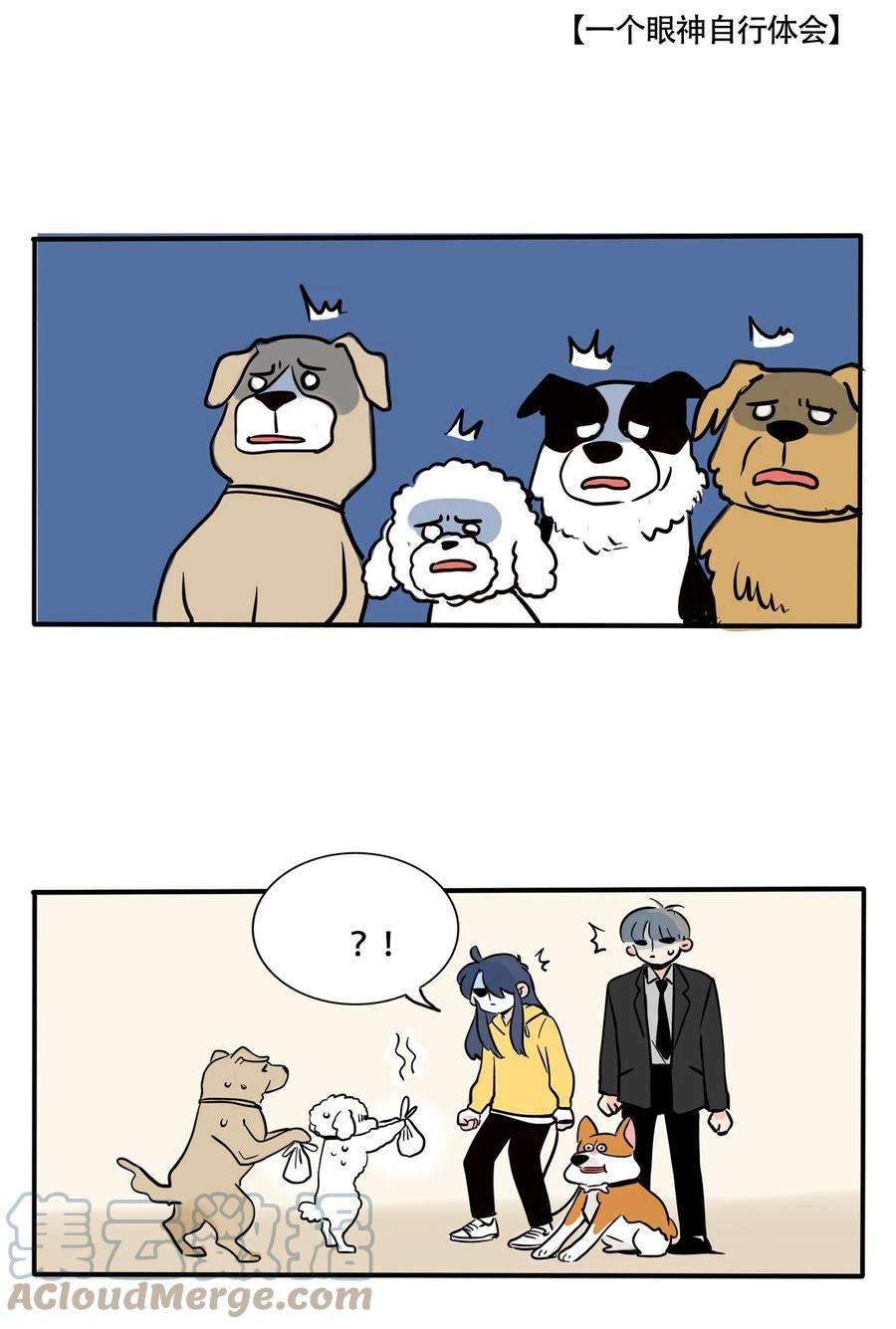 快把我哥带走314 314
