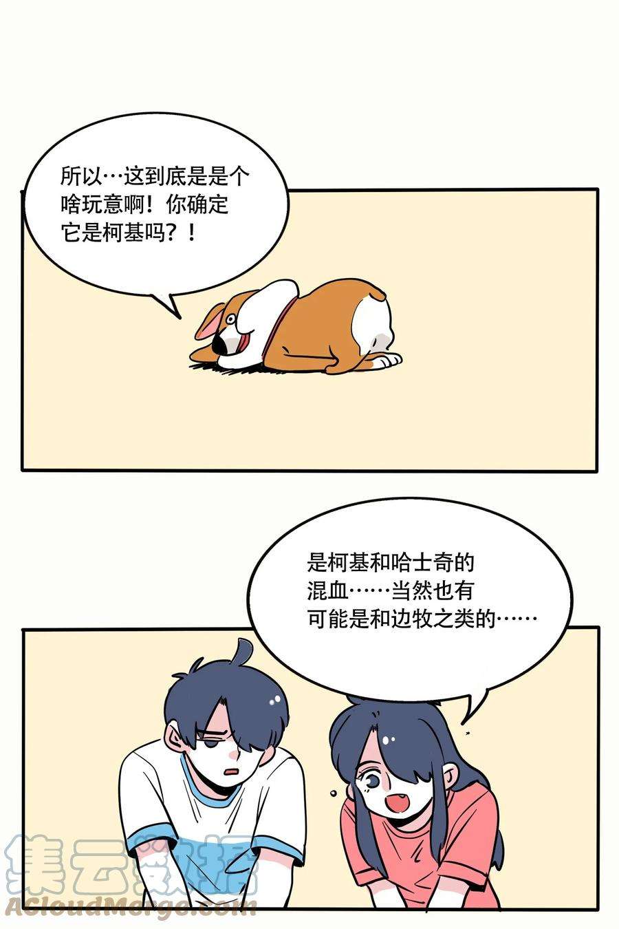 快把我哥带走315 315