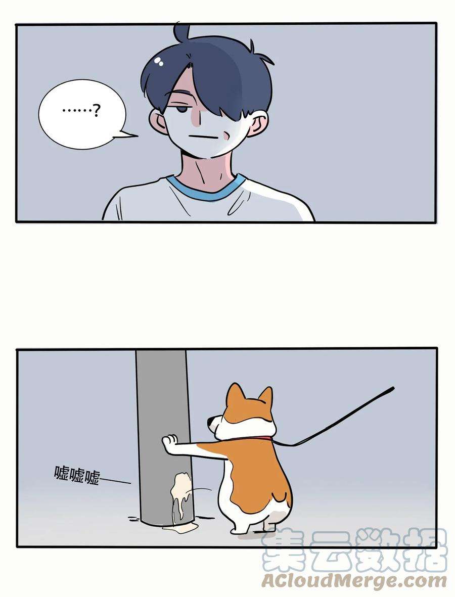 快把我哥带走315 315