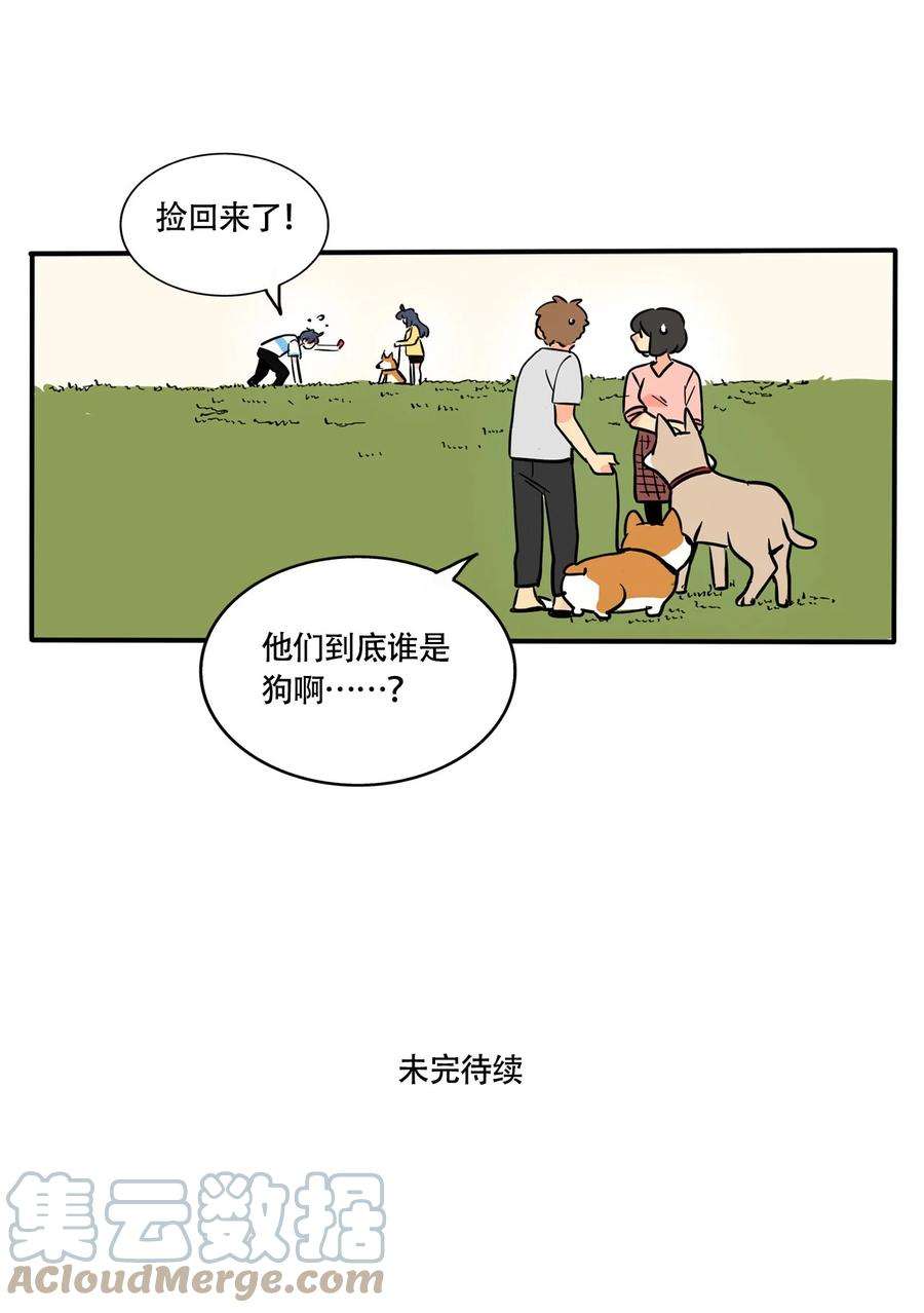 快把我哥带走316 316