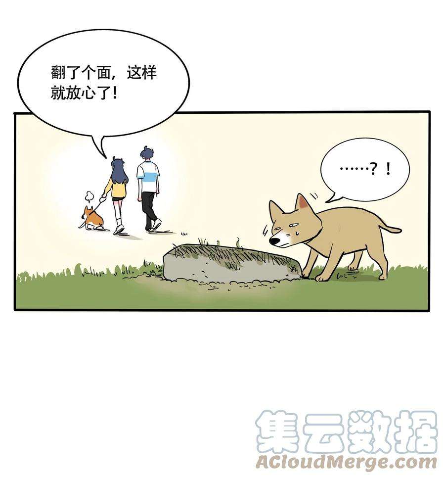 快把我哥带走317 317