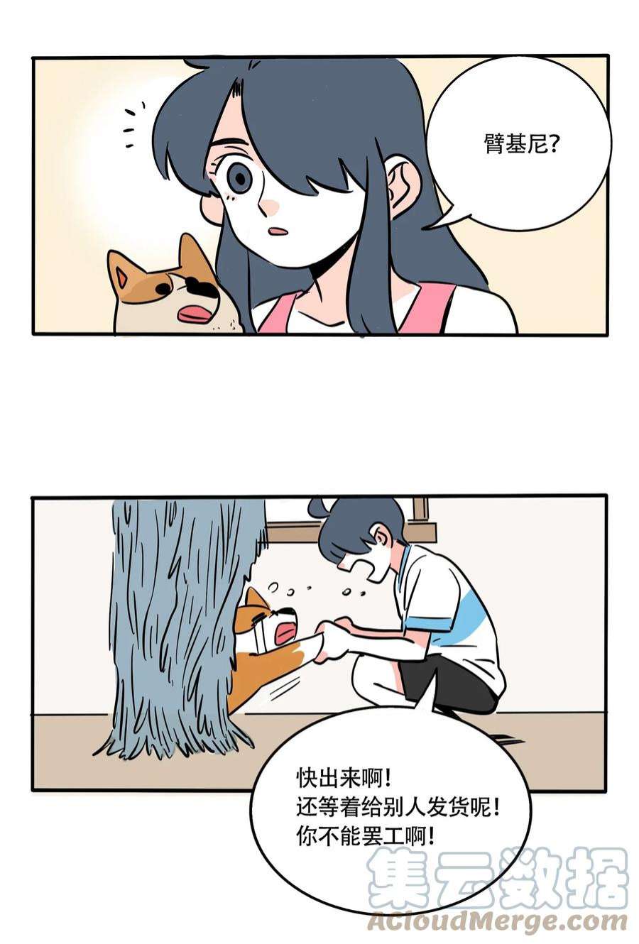 快把我哥带走327 327