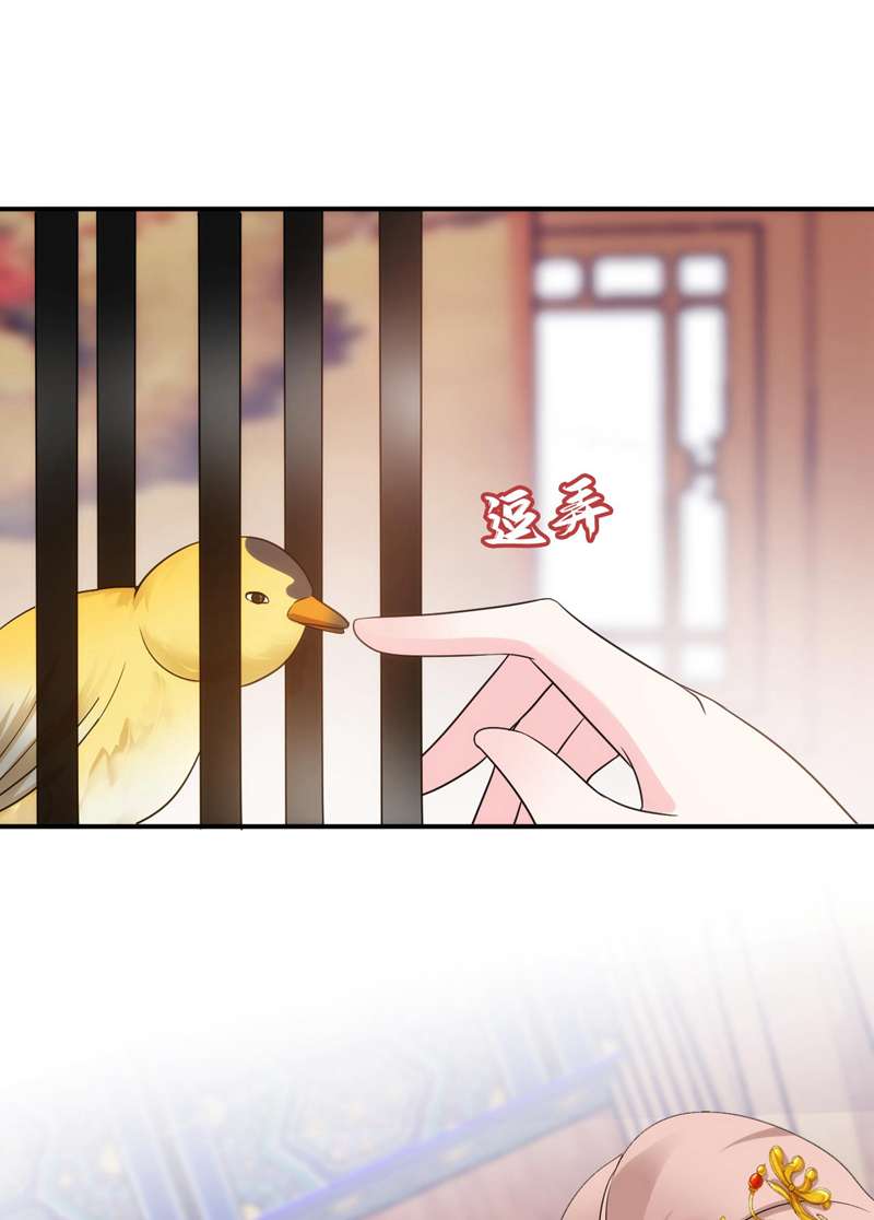 江山美男入我帐第176话 他从未承认过我…