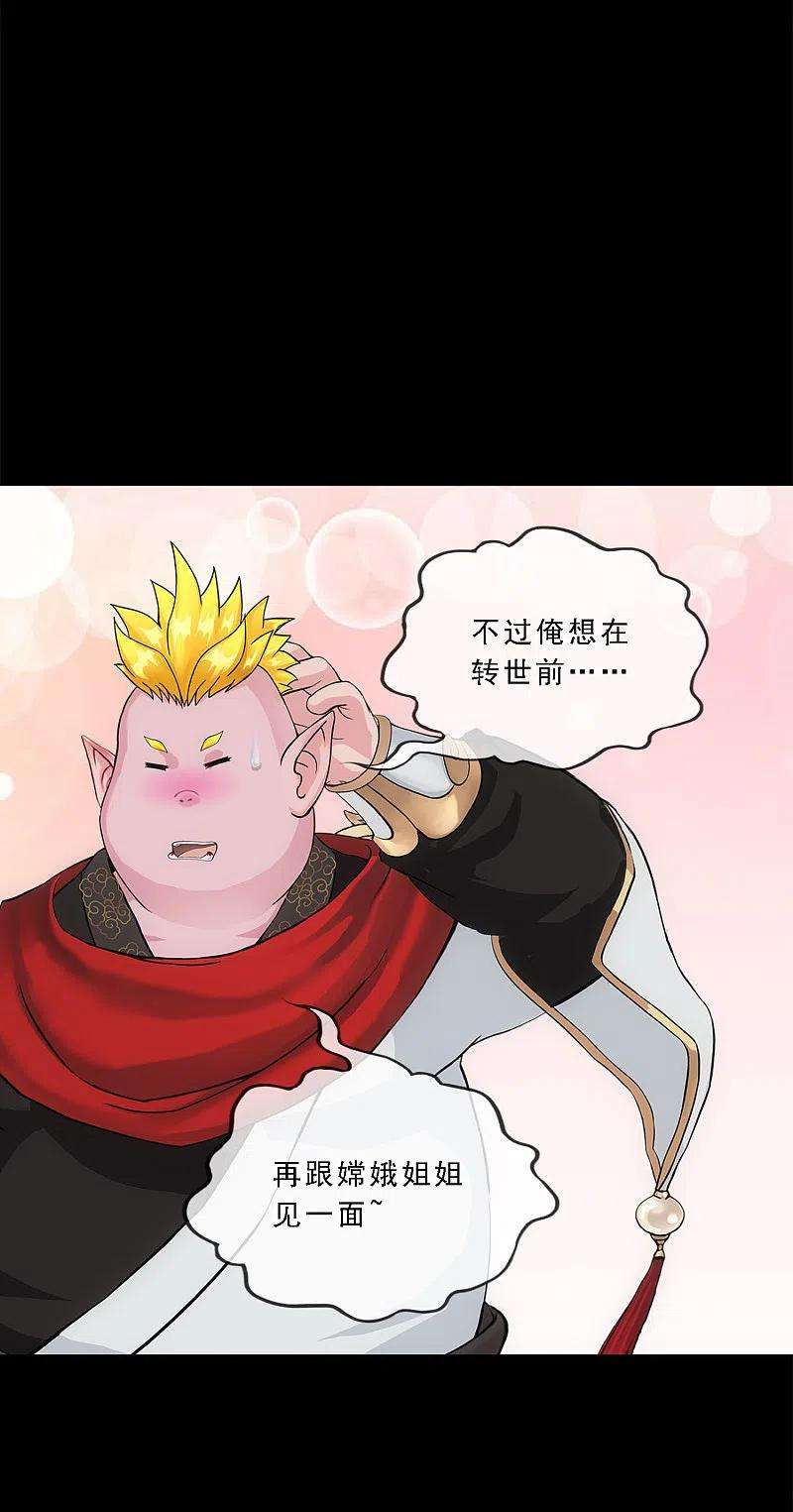 解离妖圣334话 投胎转世1