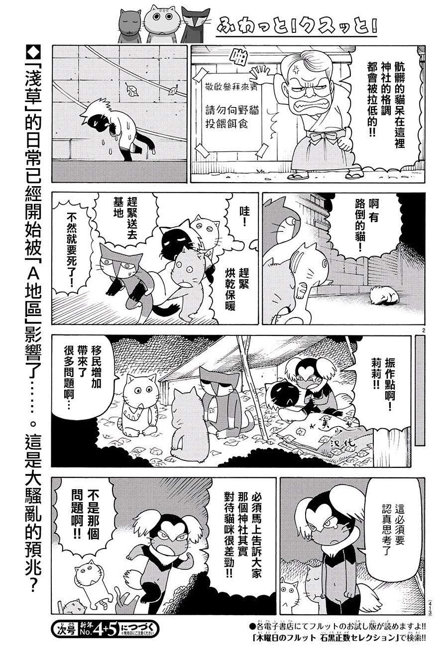 我家的街猫第637话