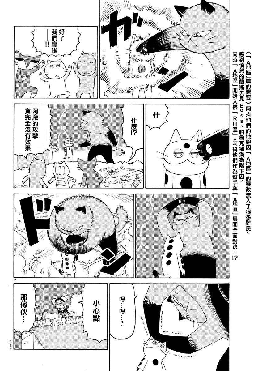 我家的街猫第656话