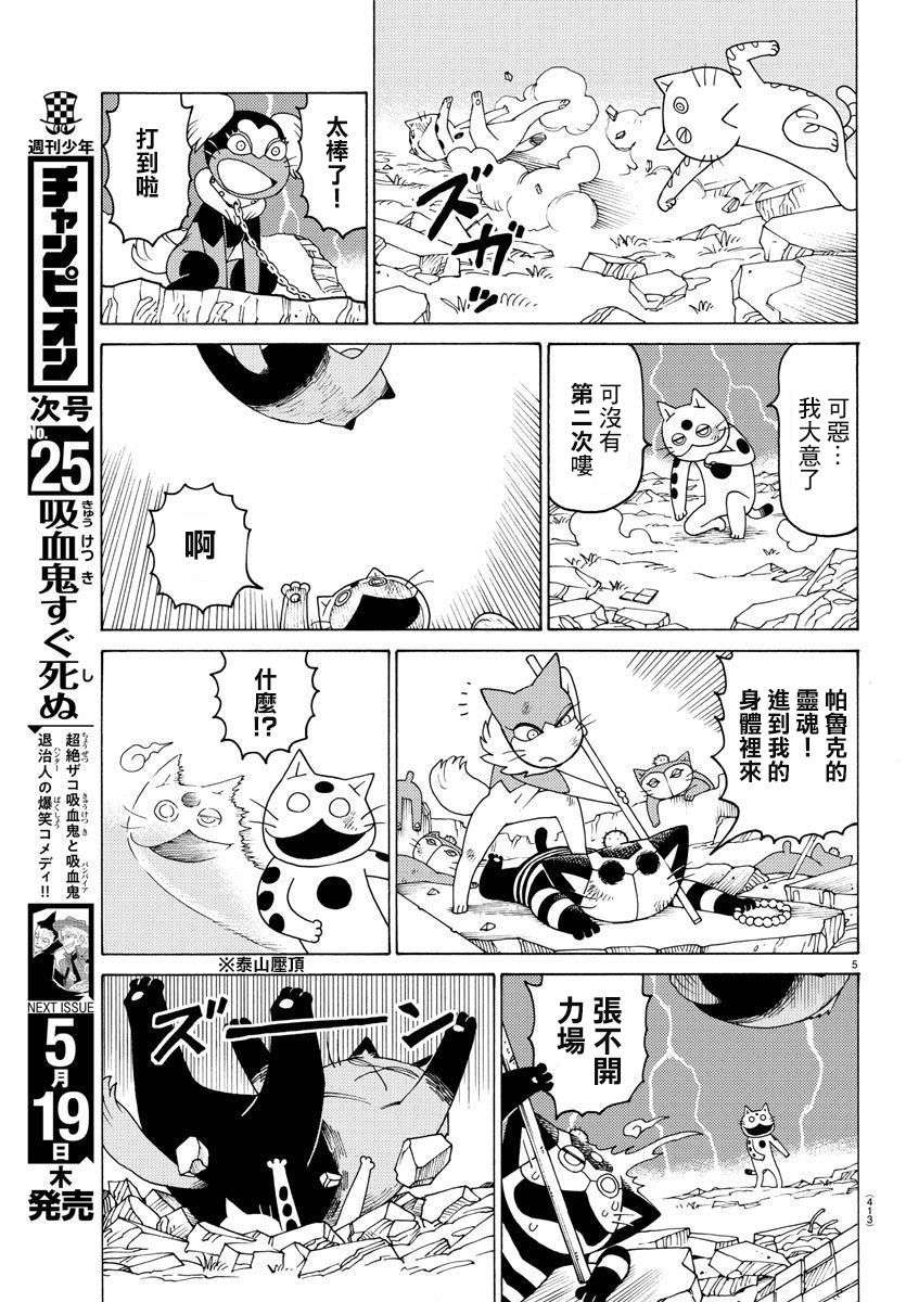 我家的街猫第656话