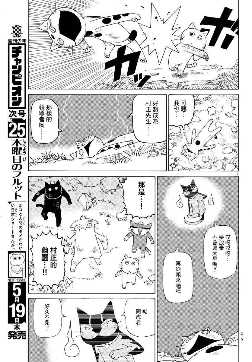我家的街猫第656话