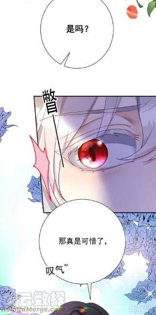 狩受不亲之引狼入室75话 计划通