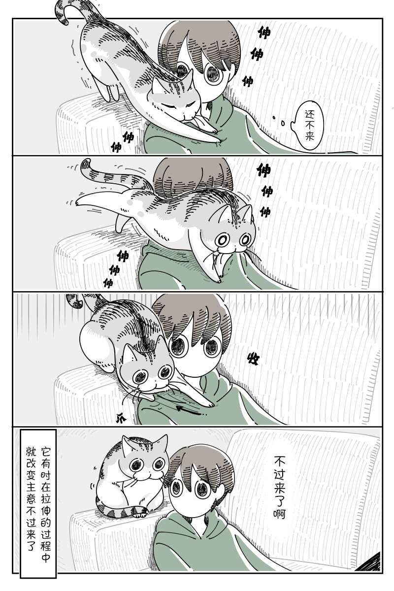 关于养猫我一直是新手第117话