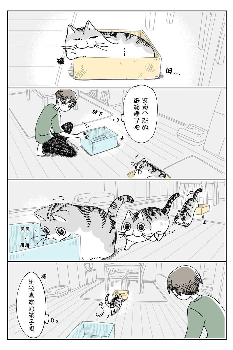 关于养猫我一直是新手第119话