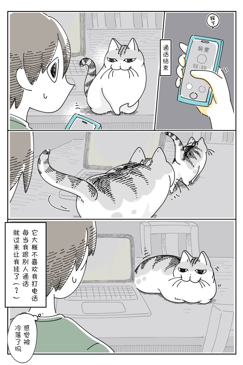 关于养猫我一直是新手第121话
