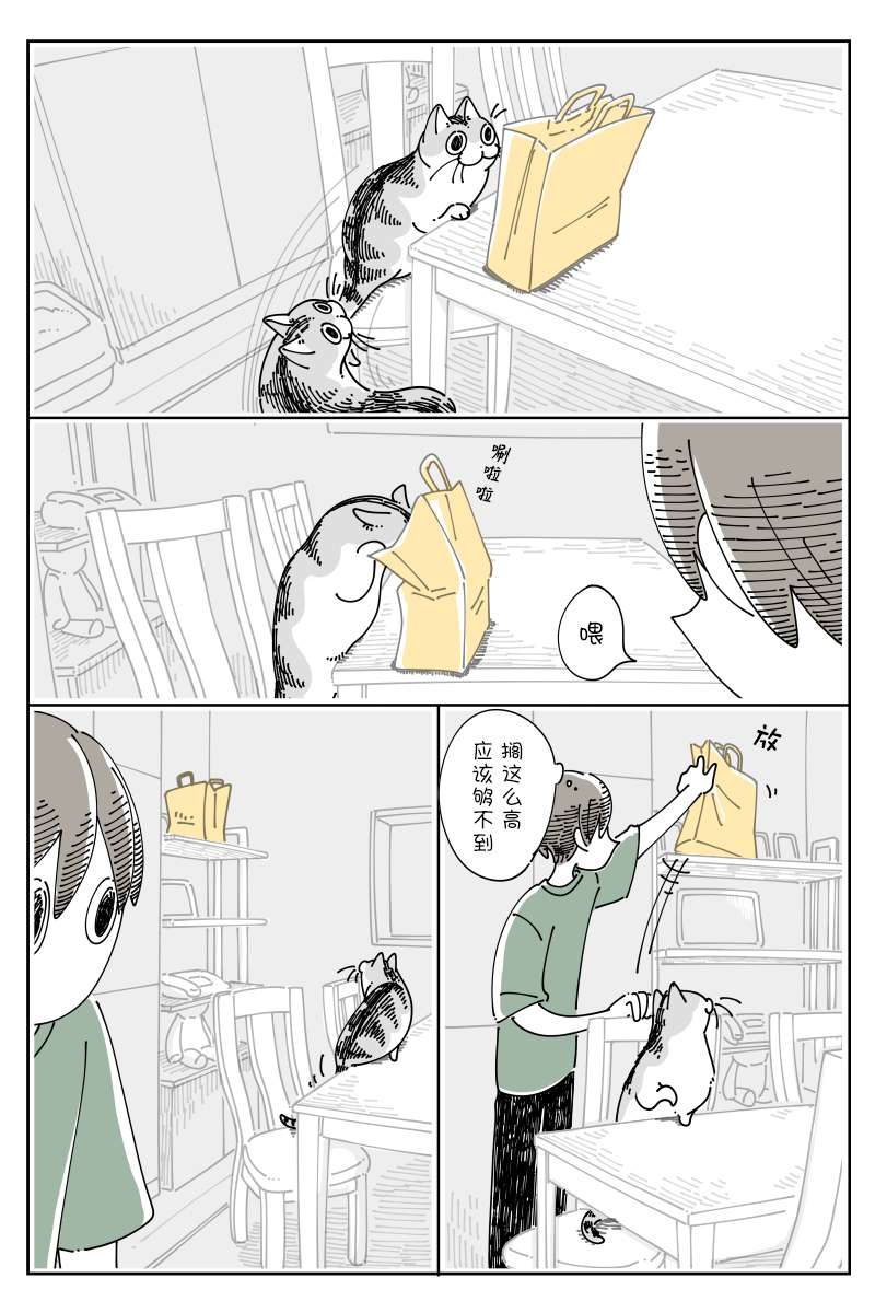 关于养猫我一直是新手第122话