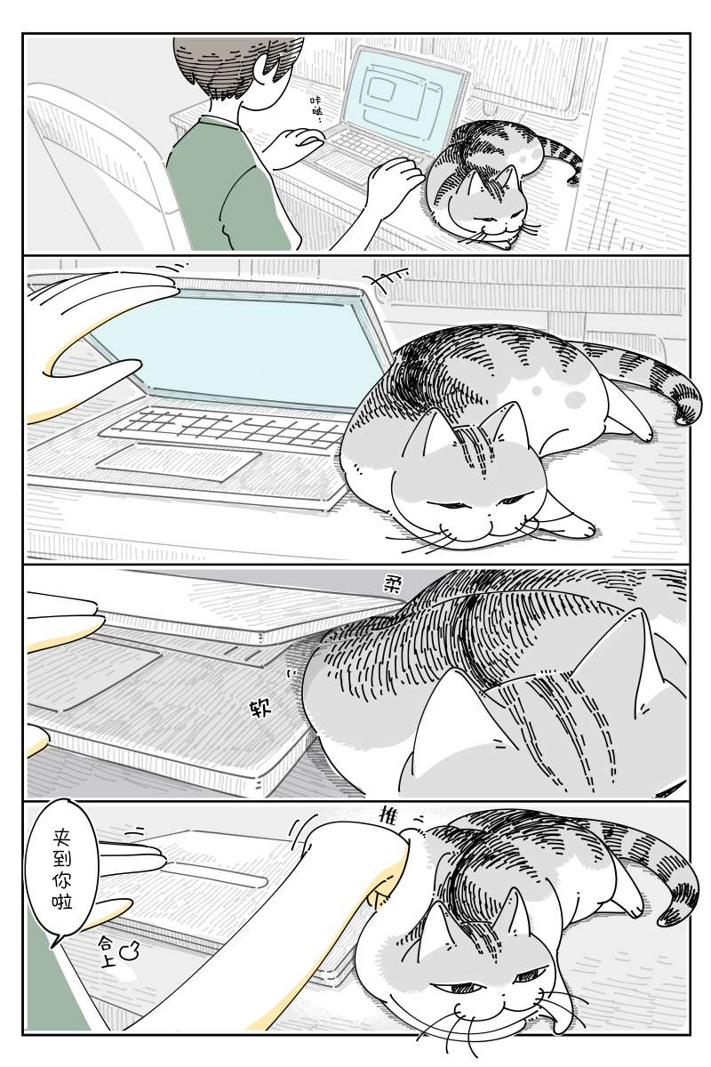 关于养猫我一直是新手第123话