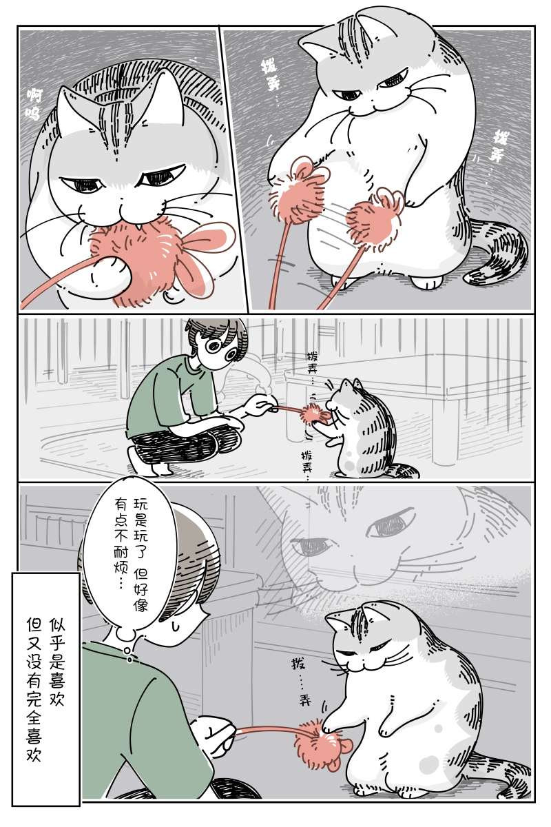 关于养猫我一直是新手第124话