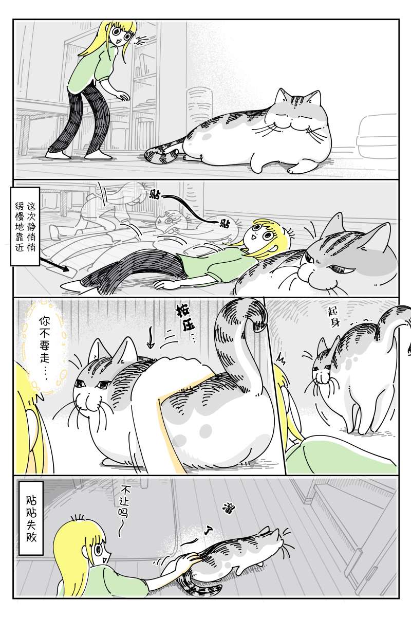 关于养猫我一直是新手第125话