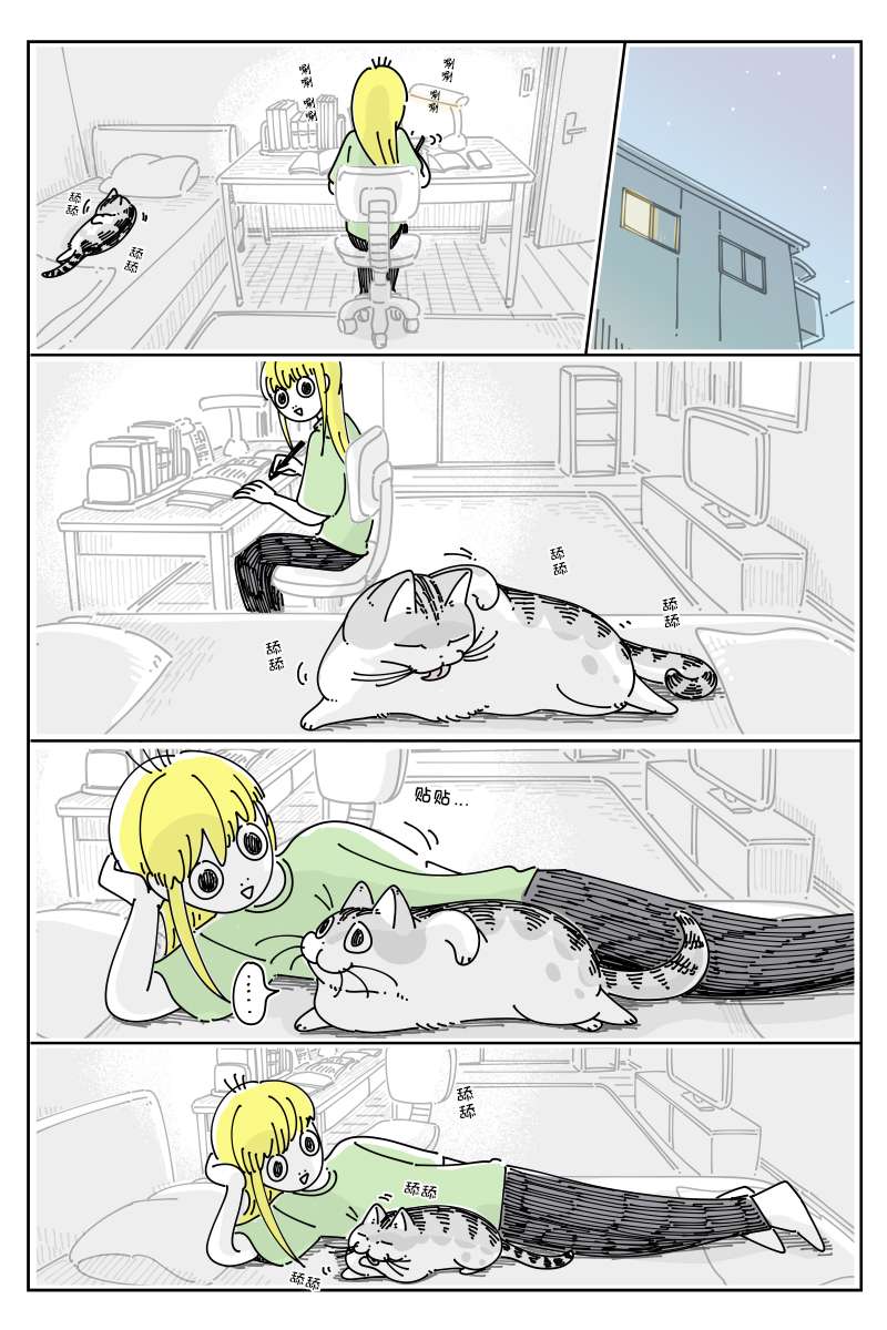 关于养猫我一直是新手第125话