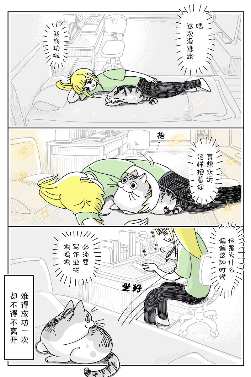 关于养猫我一直是新手第125话