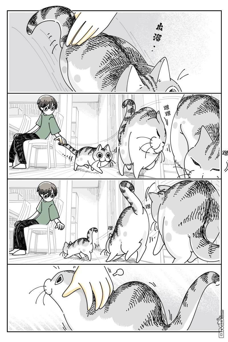 关于养猫我一直是新手第126话