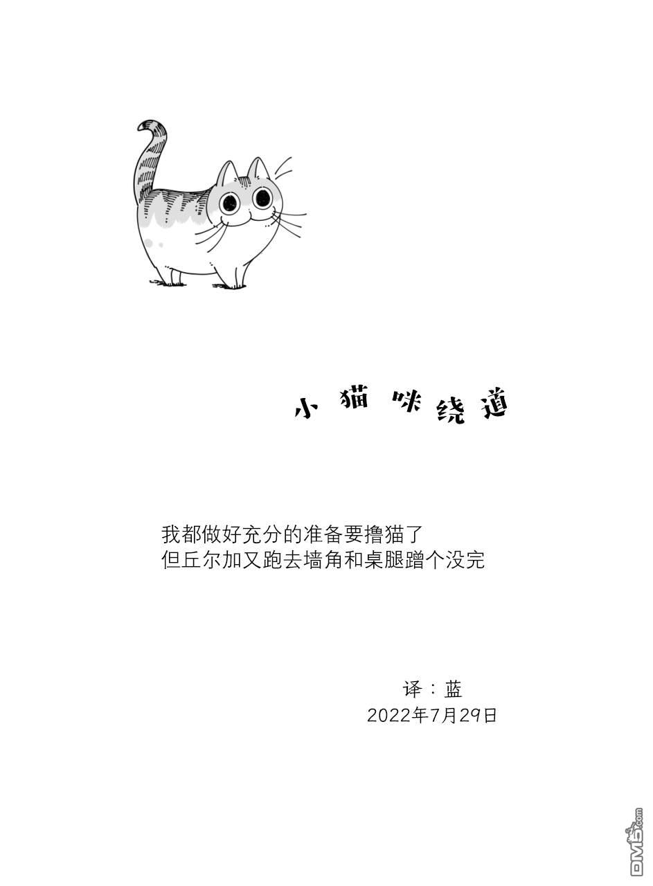 关于养猫我一直是新手第126话