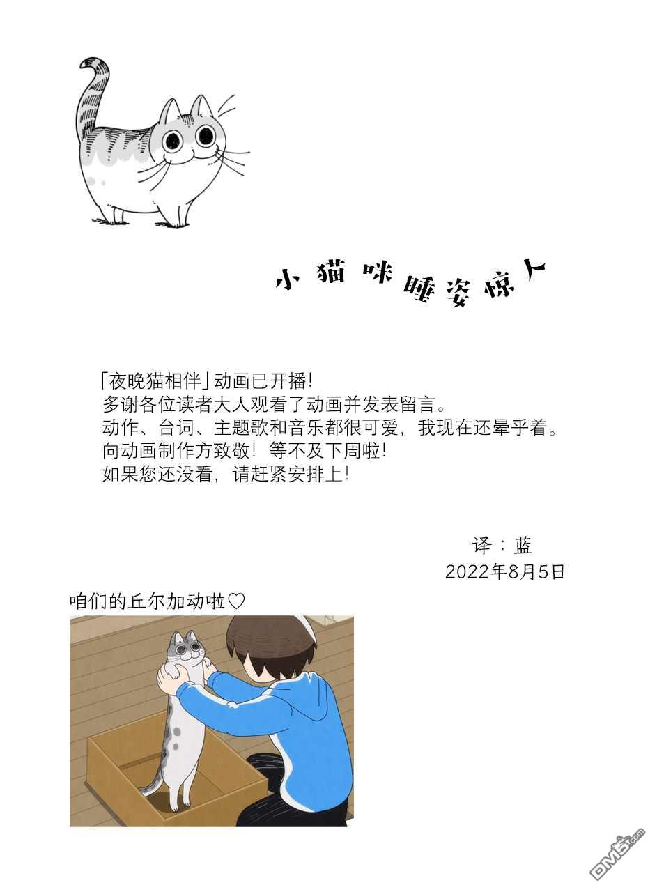 关于养猫我一直是新手第127话