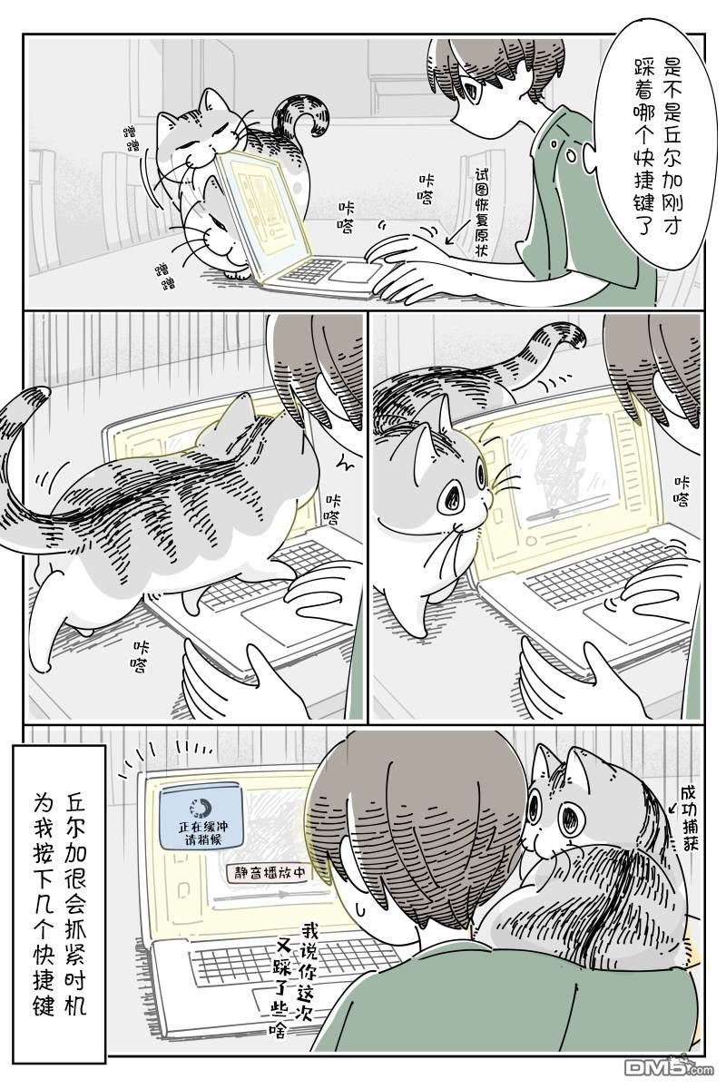 关于养猫我一直是新手第128话