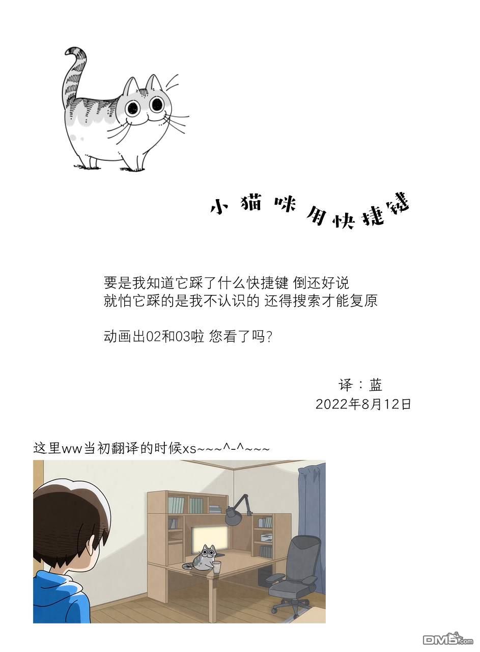 关于养猫我一直是新手第128话