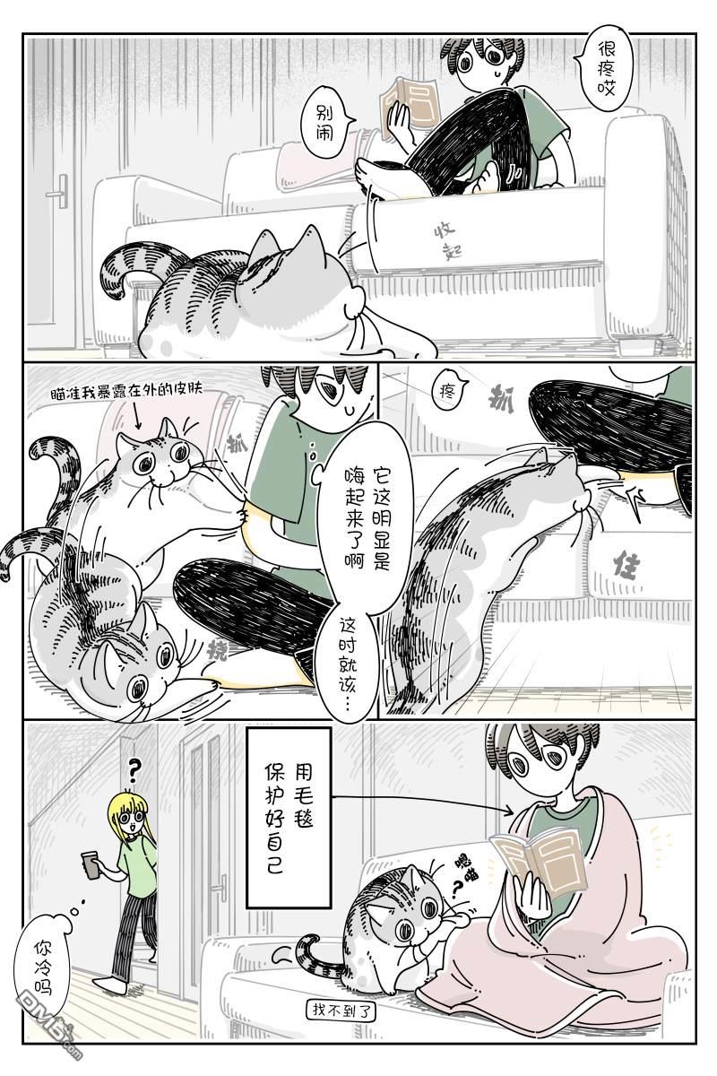 关于养猫我一直是新手第129话
