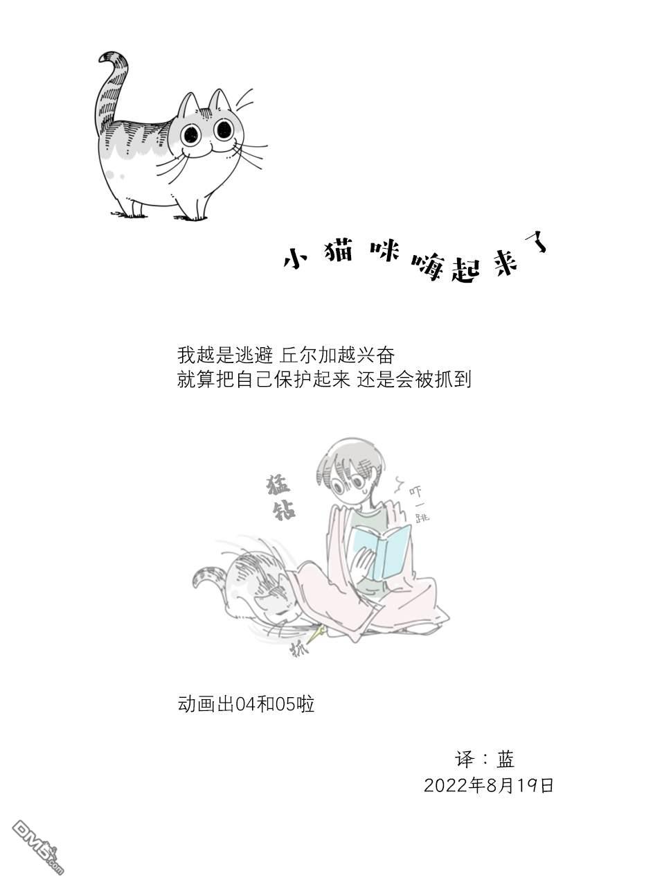 关于养猫我一直是新手第129话