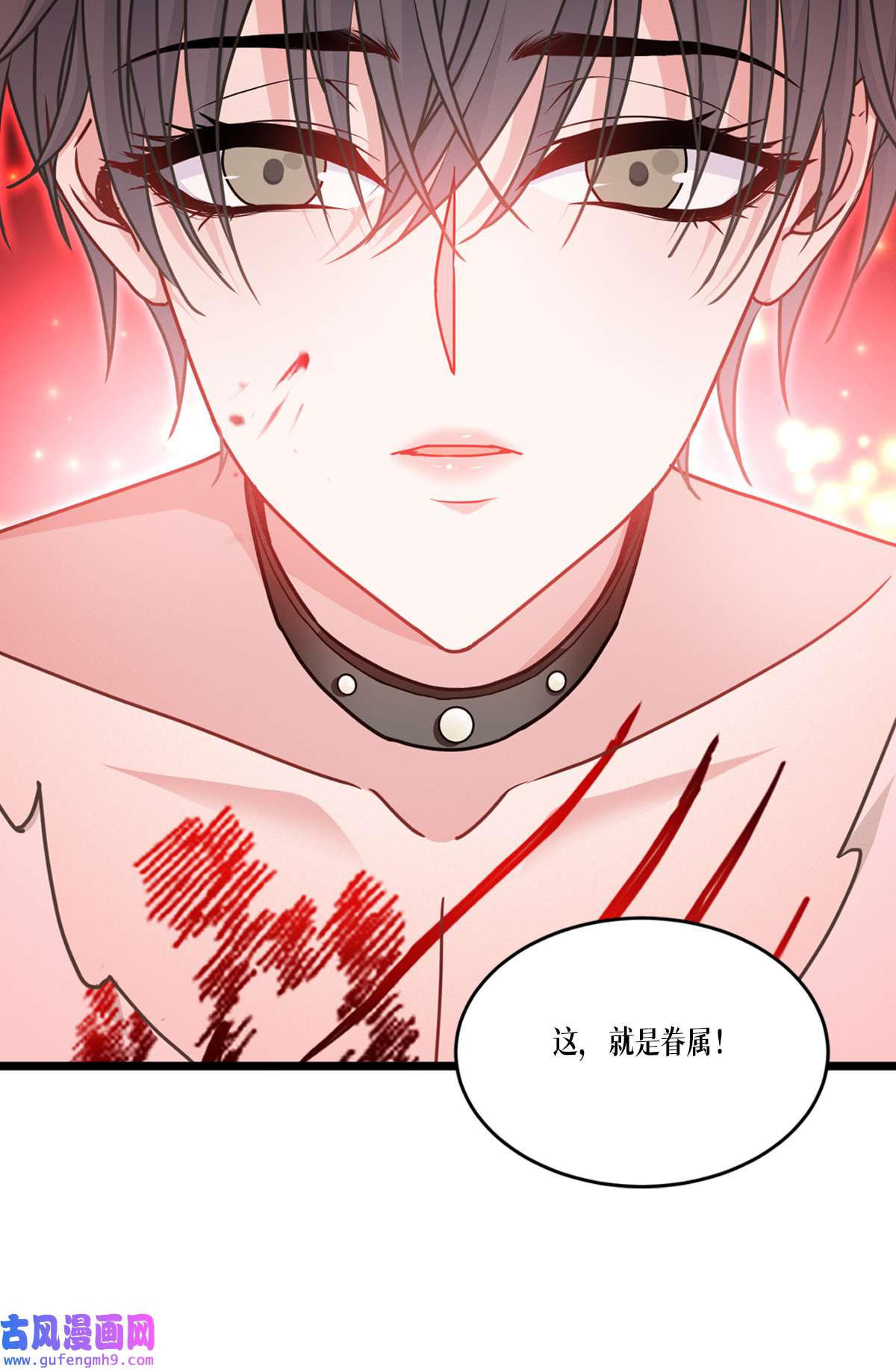 被咬后成为王者33 这，就是眷属