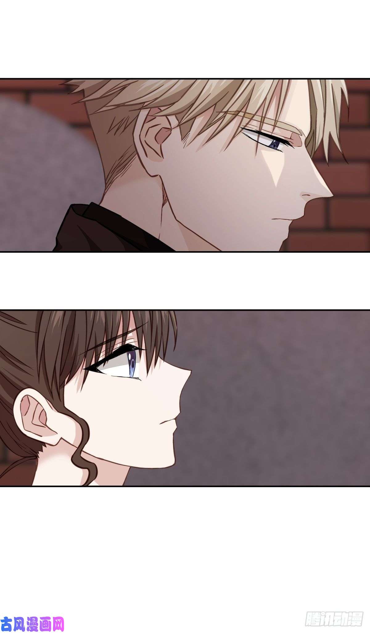 四分之一的秘密治愈