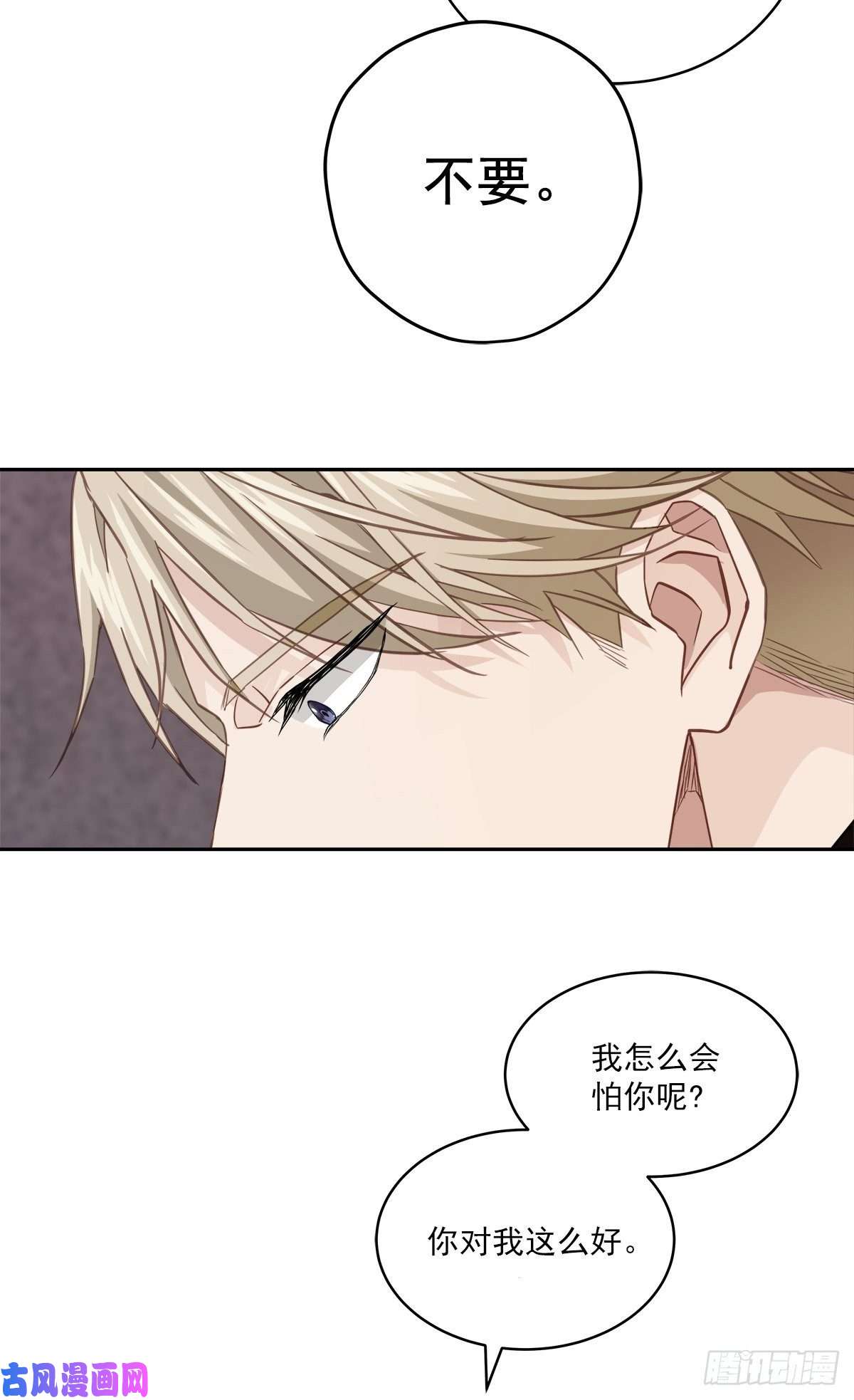 四分之一的秘密治愈