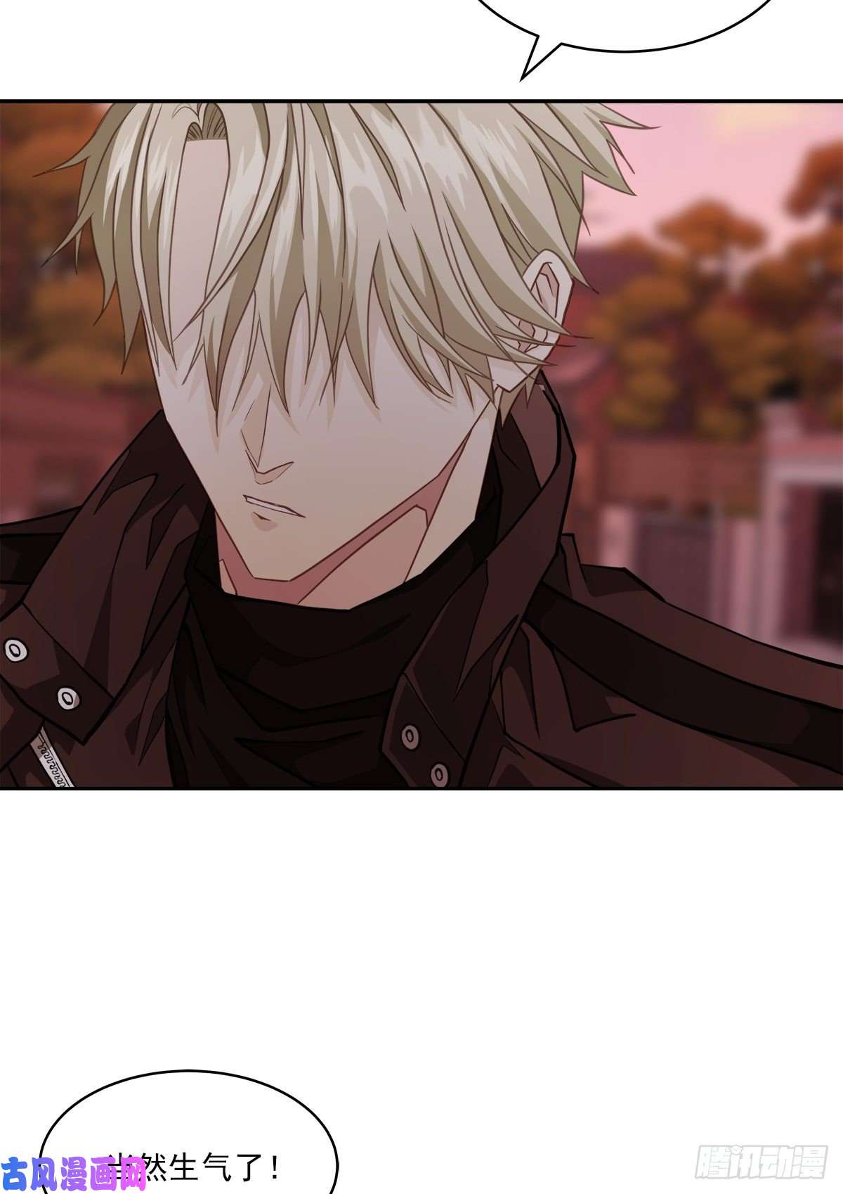 四分之一的秘密治愈