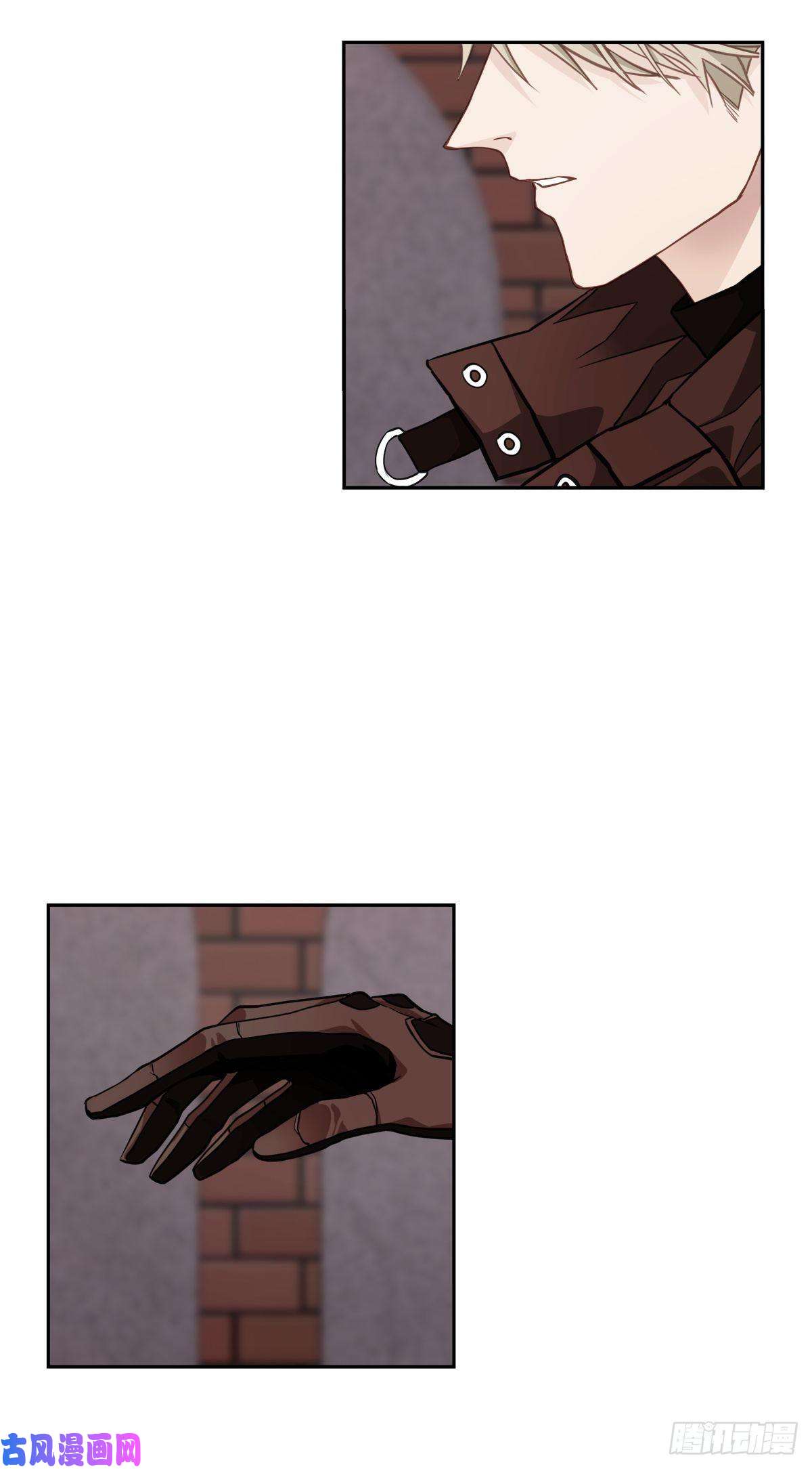 四分之一的秘密治愈