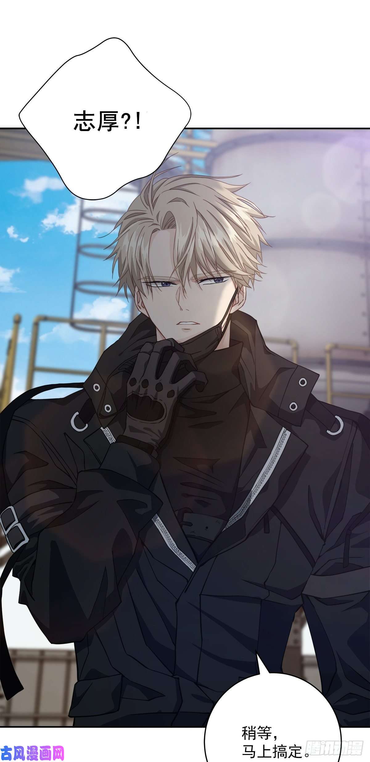 四分之一的秘密治愈