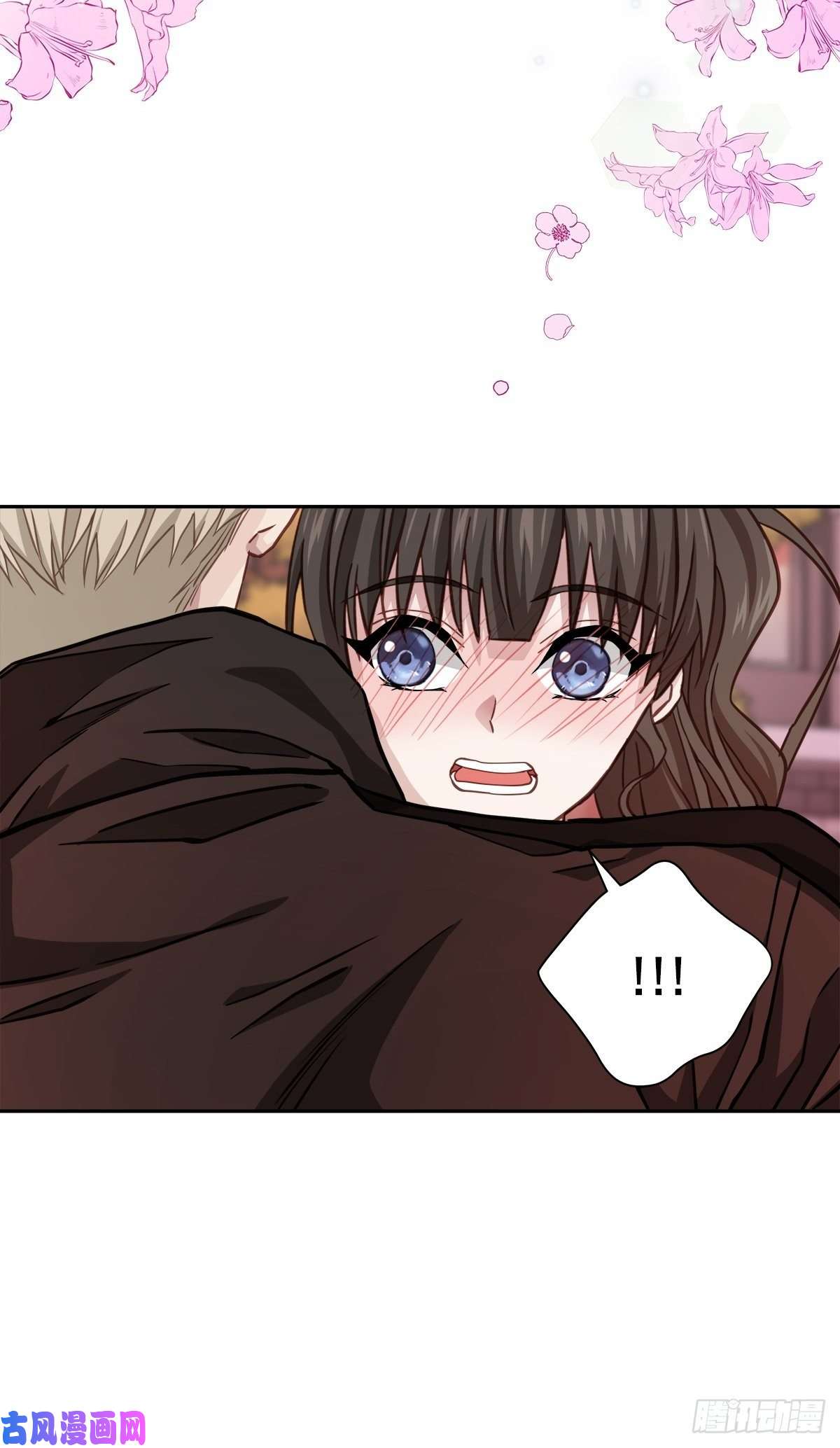 四分之一的秘密治愈