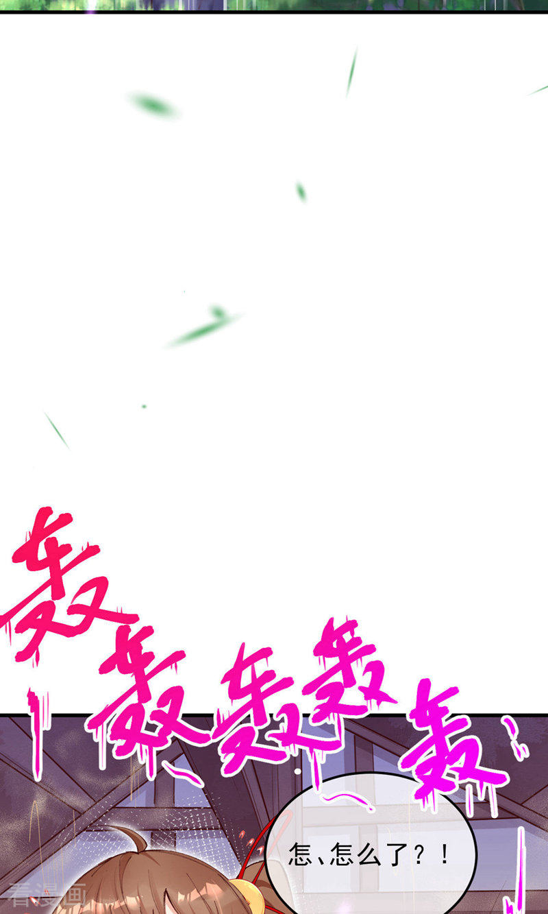 我在混沌捡破烂儿13话